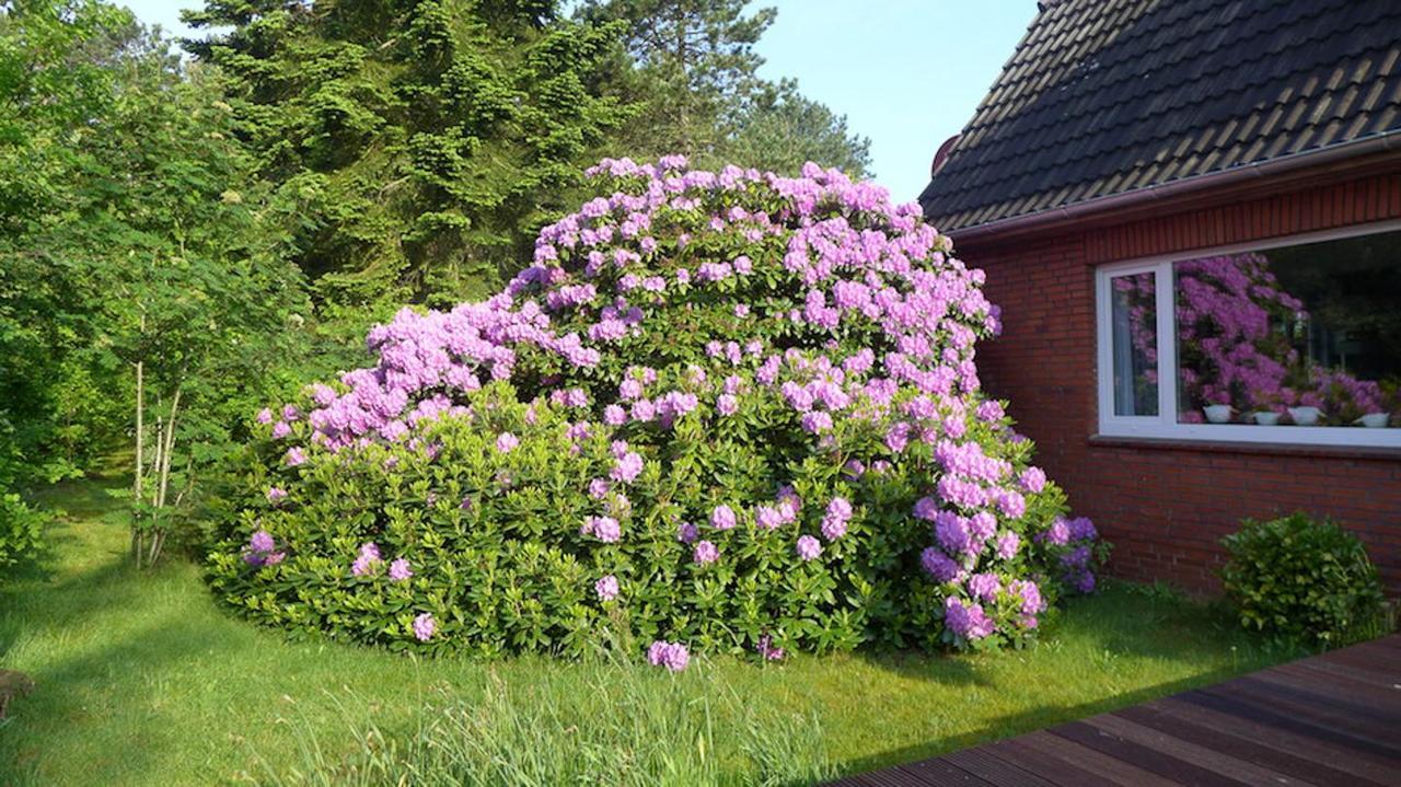 Ferienhaus *Koggenhues* Norddorf Luaran gambar